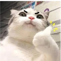 tác giả meww