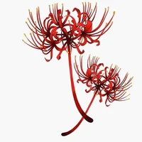 Đệ tử Bạch Gia