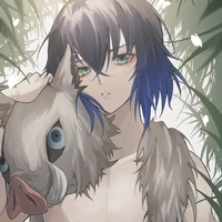 Hashibira Inosuke_🐗