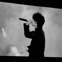 Cún không phải Wed đâu.