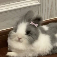 lời nhắn từ tác giả 