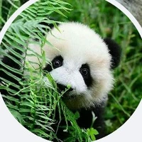 Hưng(thg giàu nhất nhóm🤡)