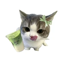 Nhỏ t/giả
