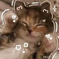 💢hệ thống 01(sếp của ht 015)💢