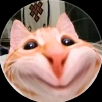 ？？？