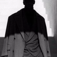 boss tổ chức shadow ( Nhàn Hạ )