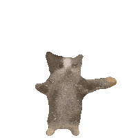 #𝗦ữ𝗮𝗮𝗮