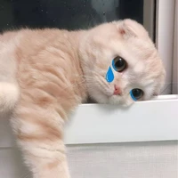 tác giả xinh yêu nè