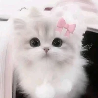 Các bot (trừ ai trừ)