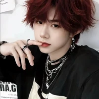 Trần Dịch Hằng(chàng)