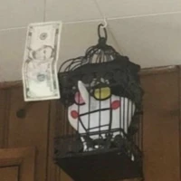 T/g