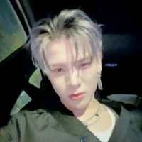 Phạm Đình Thái Ngân(anh)