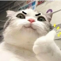 ᴀʙᴇᴇ ɪᴜ ᴅʜᴥ︎︎︎