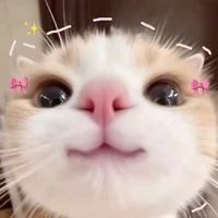 ω𝘩ɪ𝘵є ᴄℓσυ∂☁💕
