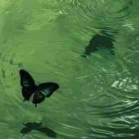 Nhân vật không tên