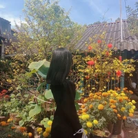Mẫn cutii
