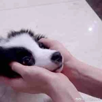 Hệ Thống 0403