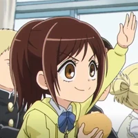 Sasha Blouse