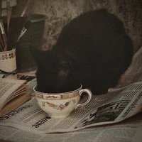 ¿ Unknown character?