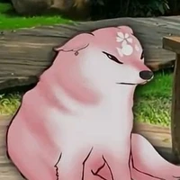 T/g thích tua🤓☝️