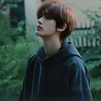 Đinh Trình Hâm