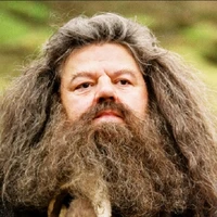 Rubeus Hagrid