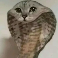 Yann xấu gái! (눈‸눈)