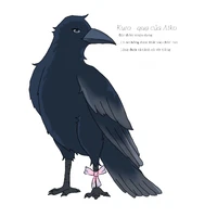 Kuro