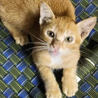 Tác giả đey🫰🏻