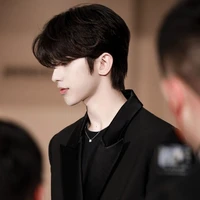 tống gia vỹ