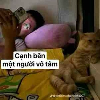 Con viết truyện 