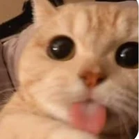 `mew.pew~_mlem(t/g)