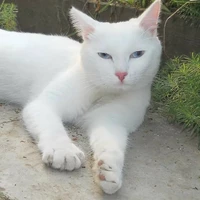 Nhóm của Beta (trừ ai thì trừ)