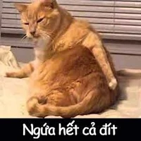 All trừ ai thì trừ