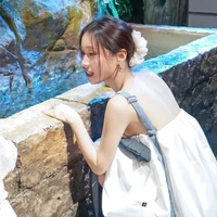 Han Sara
