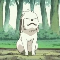 Akamaru