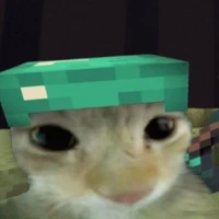 Mì bel