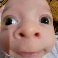 tác giả mốn làu cờ ring cờ ring