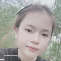 Bắp