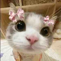 Bom " hệ thống "