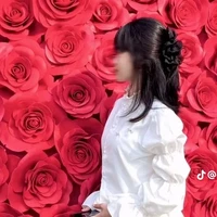 Nguyễn Trần Khánh Linh