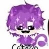 hiha catnap