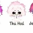 hiha tha hóa