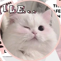 hệ thống//mira//