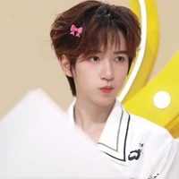 Hạ Tuấn Lâm 