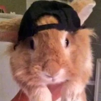 all ( trừ ai thì trừ )