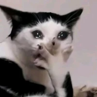 t/g[khờ nhưng slay]🪳🪳