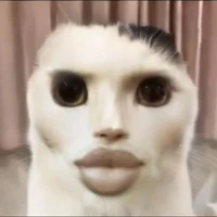 tao