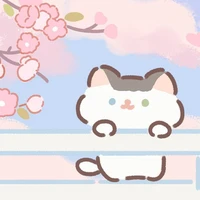 poko