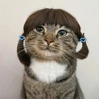 mew mew